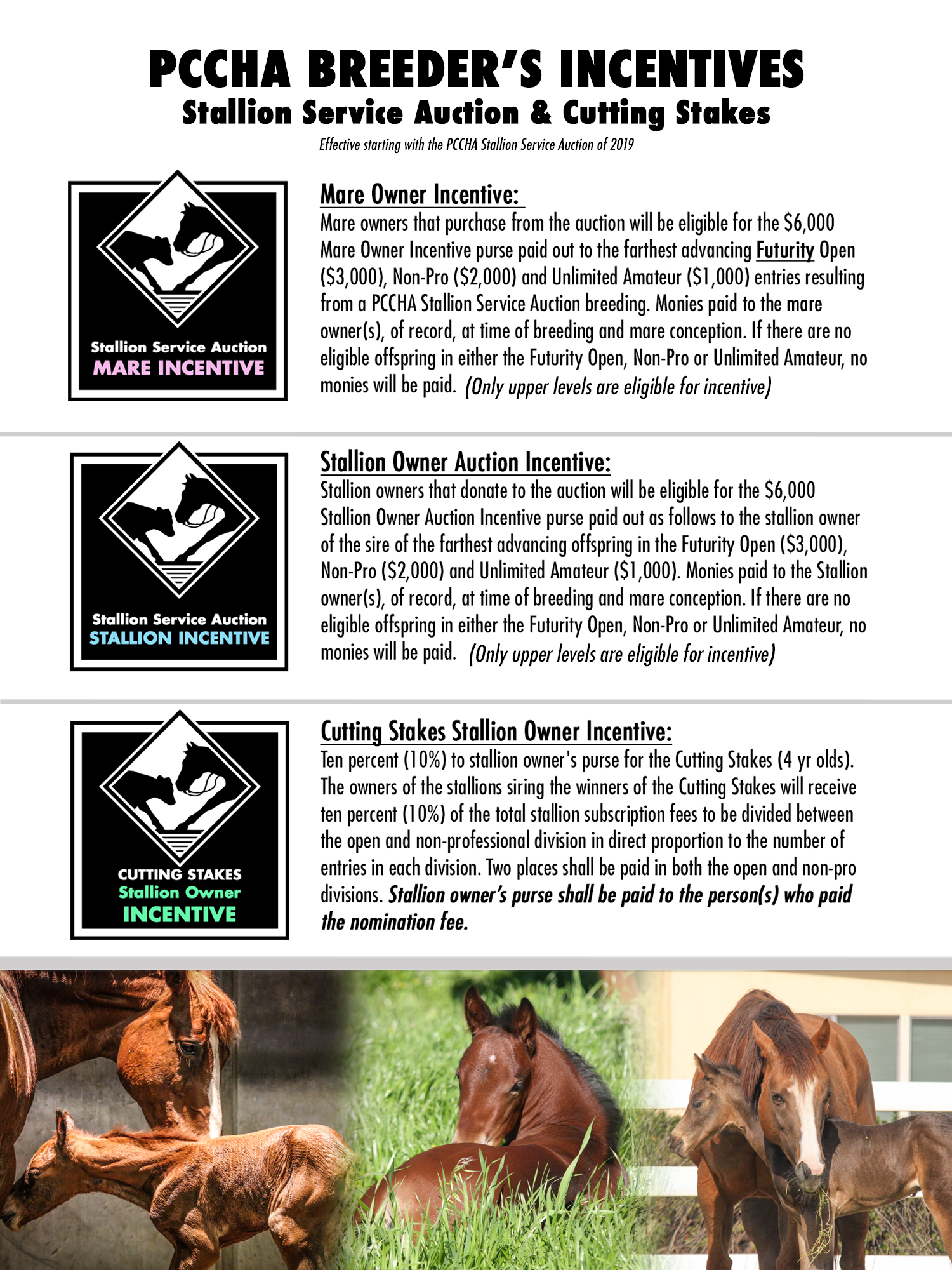 Pccha Breeders Program Incentives